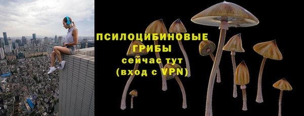 амф Касимов