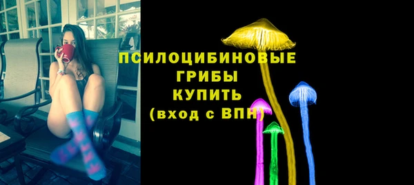 PSILOCYBIN Карталы