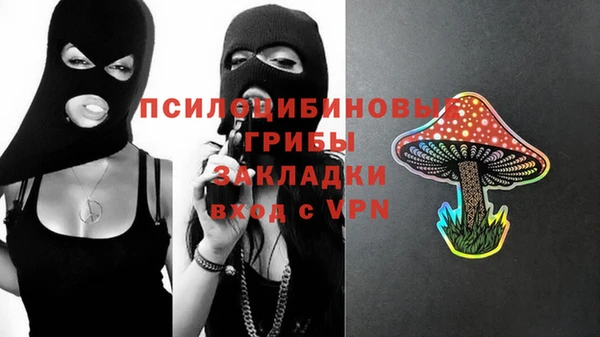 PSILOCYBIN Карталы