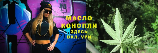 мдпв Карпинск