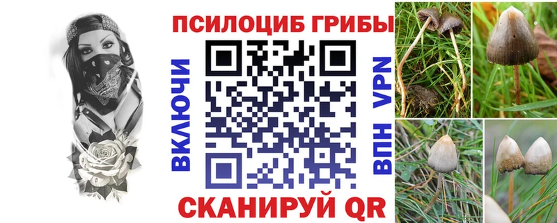 Галлюциногенные грибы MAGIC MUSHROOMS  Купить где  Лесной 